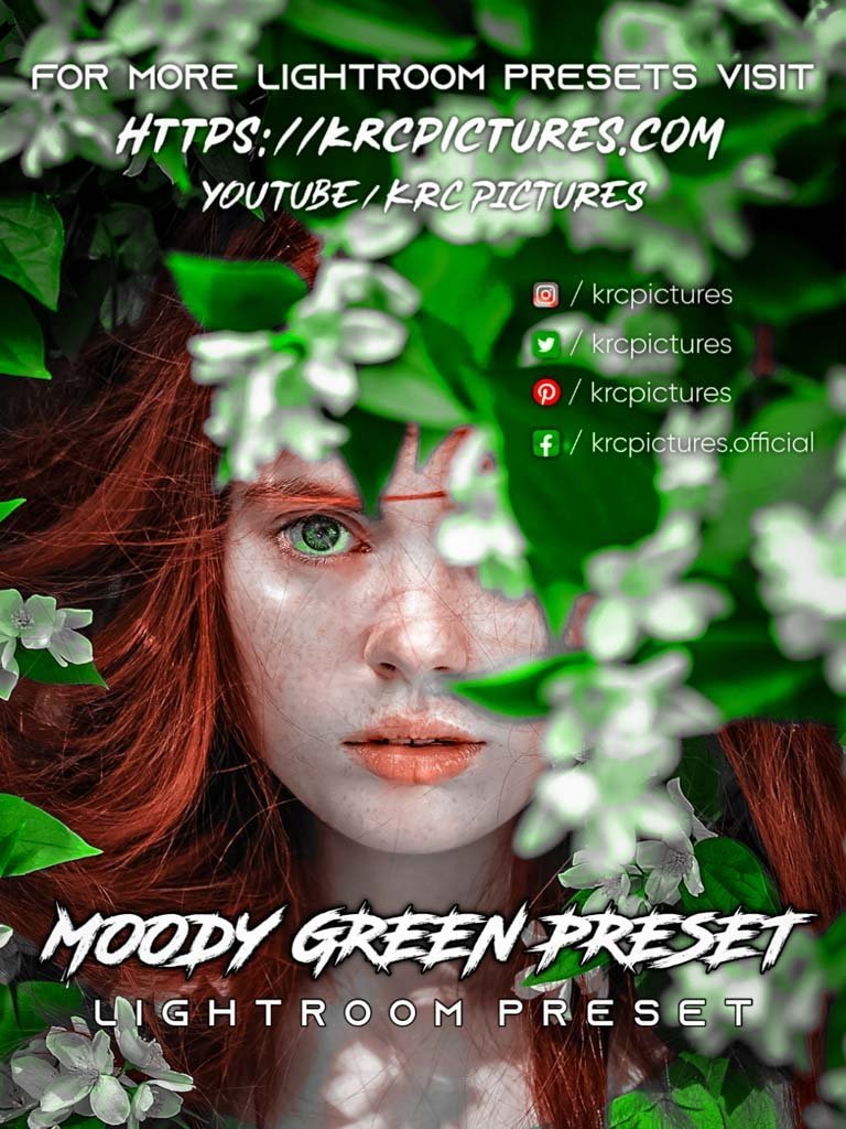 You are currently viewing Moody green preset