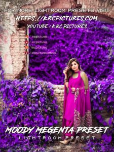 Read more about the article Moody megenta preset