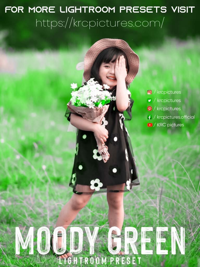 Moody green lightroom preset download