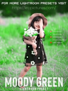 Read more about the article Moody green preset