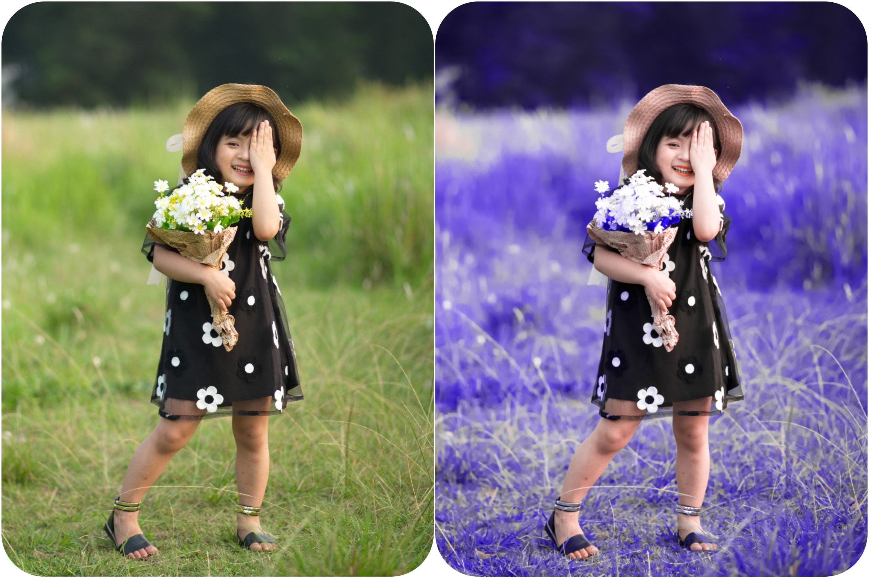 Moody blue lightroom preset before and after