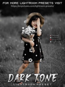 Read more about the article Dark tone lightroom preset