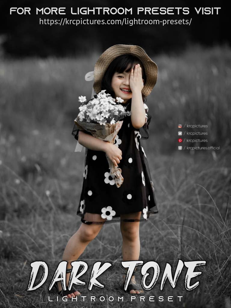 You are currently viewing Dark tone lightroom preset