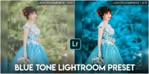 Read more about the article Blue lightroom preset download