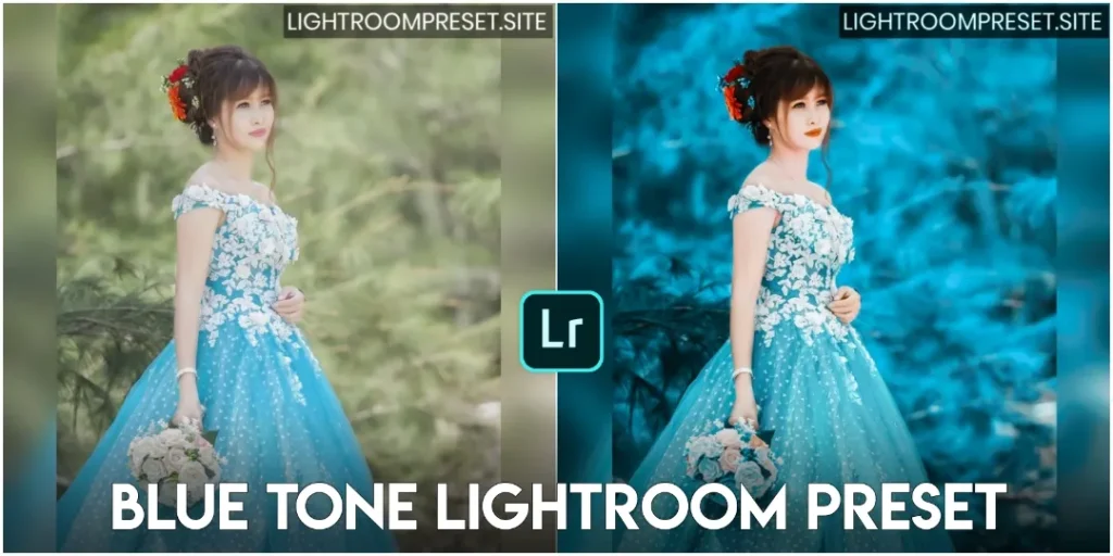 Blue tone lightroom preset 5