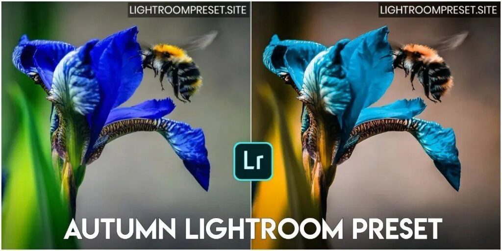 Autumn preset lightroom mobile