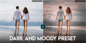 Read more about the article dark and moody presets