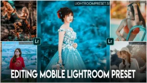 Editing mobile lightroom preset