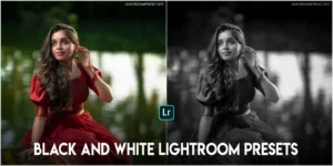Read more about the article black and white lightroom presets