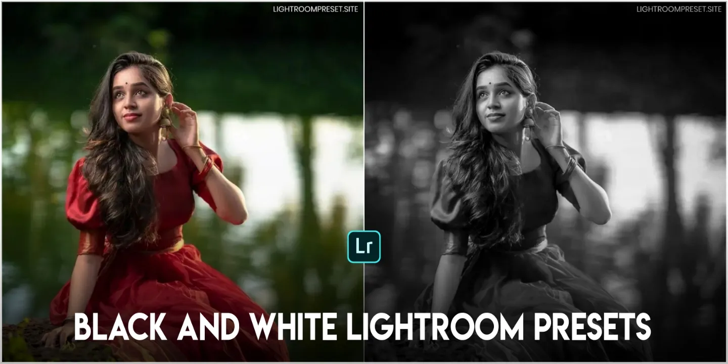 You are currently viewing black and white lightroom presets