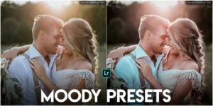 Read more about the article Moody preset lightroom