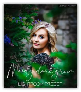 Read more about the article moody dark green lightroom preset free download