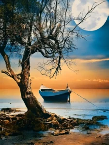 Read more about the article Boat with moon background download