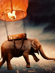 Read more about the article Flying elephant editing background download