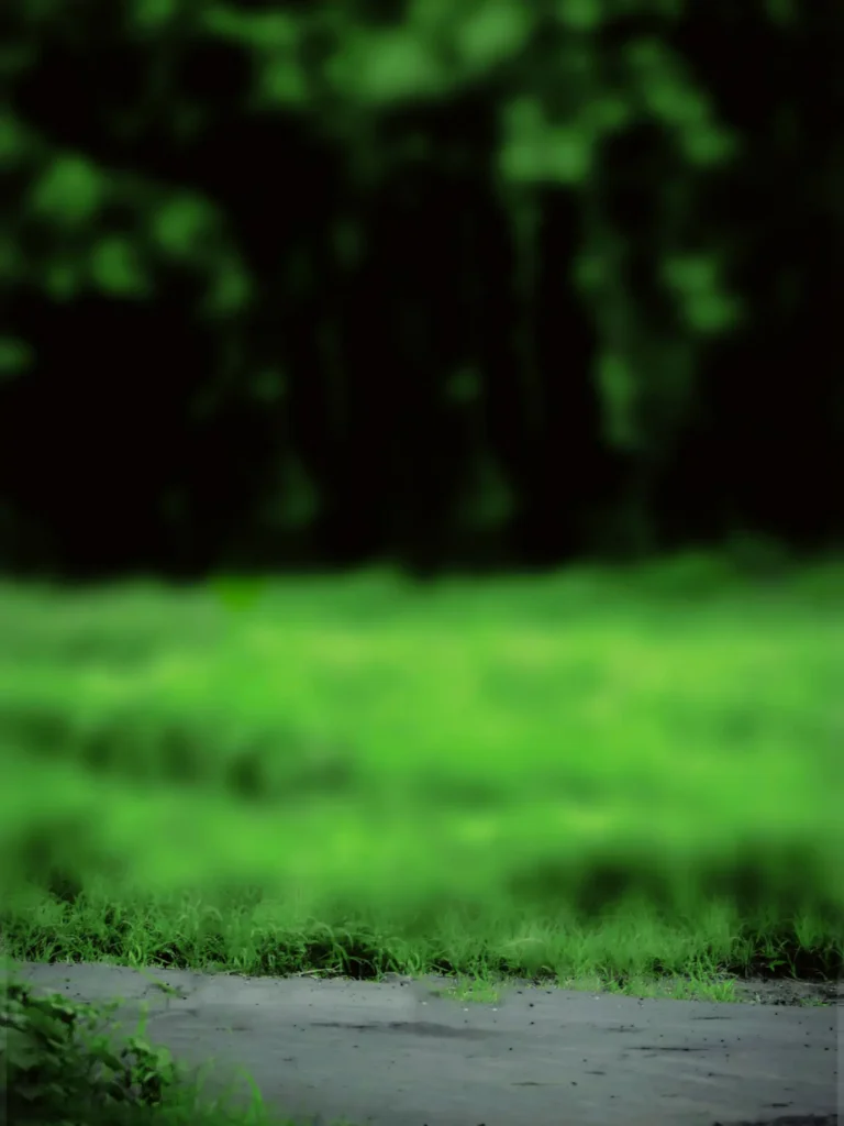 Green blur background