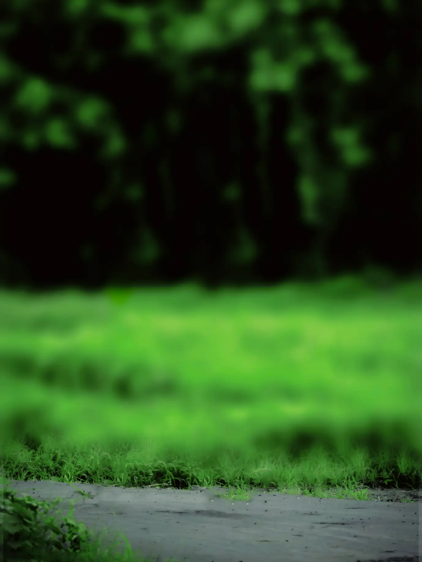 You are currently viewing Green blur background