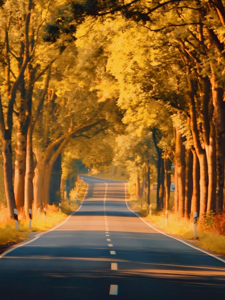 road background images
