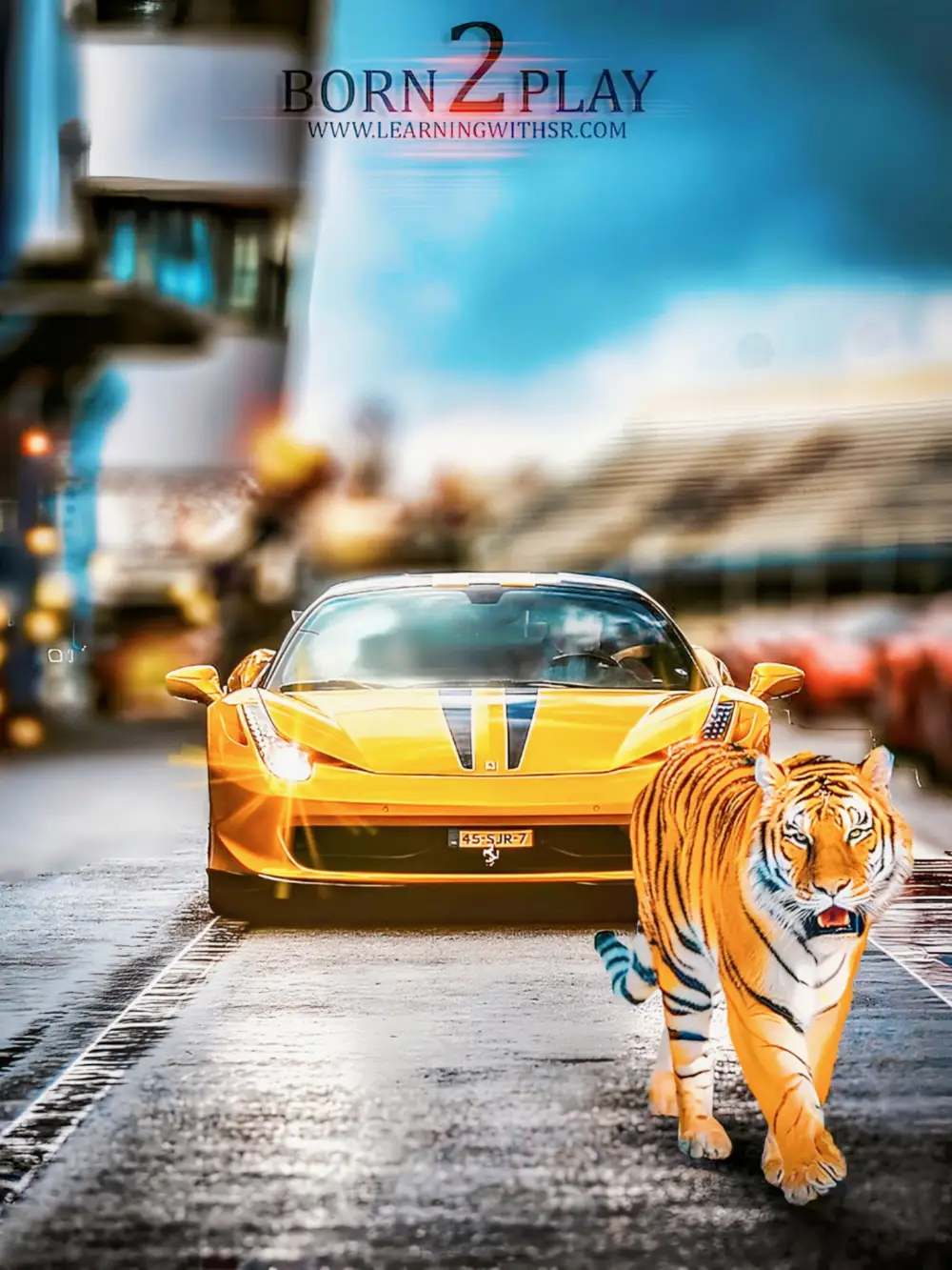 You are currently viewing Tiger photo editing