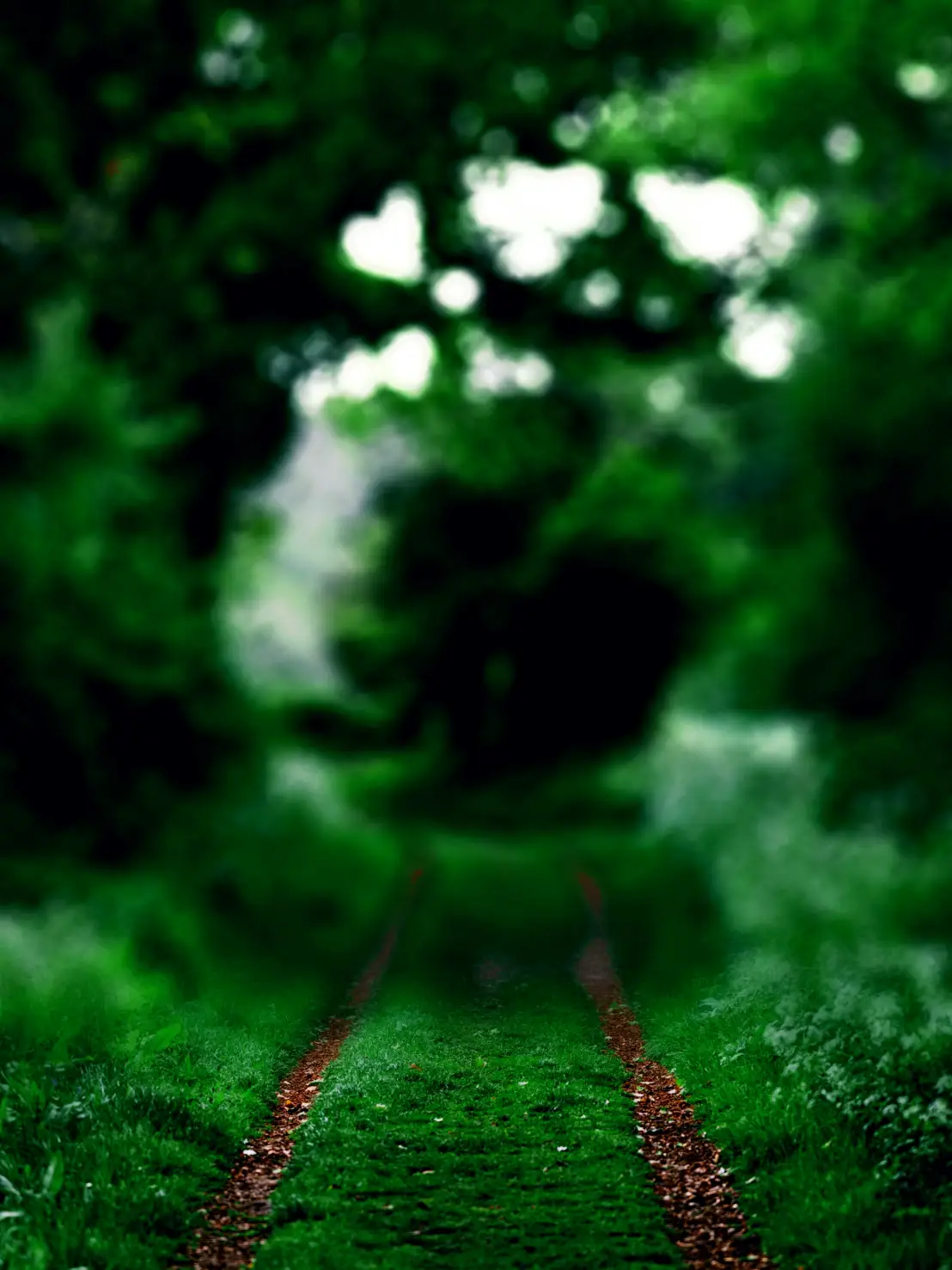 You are currently viewing Dark green cb blur background full hd download