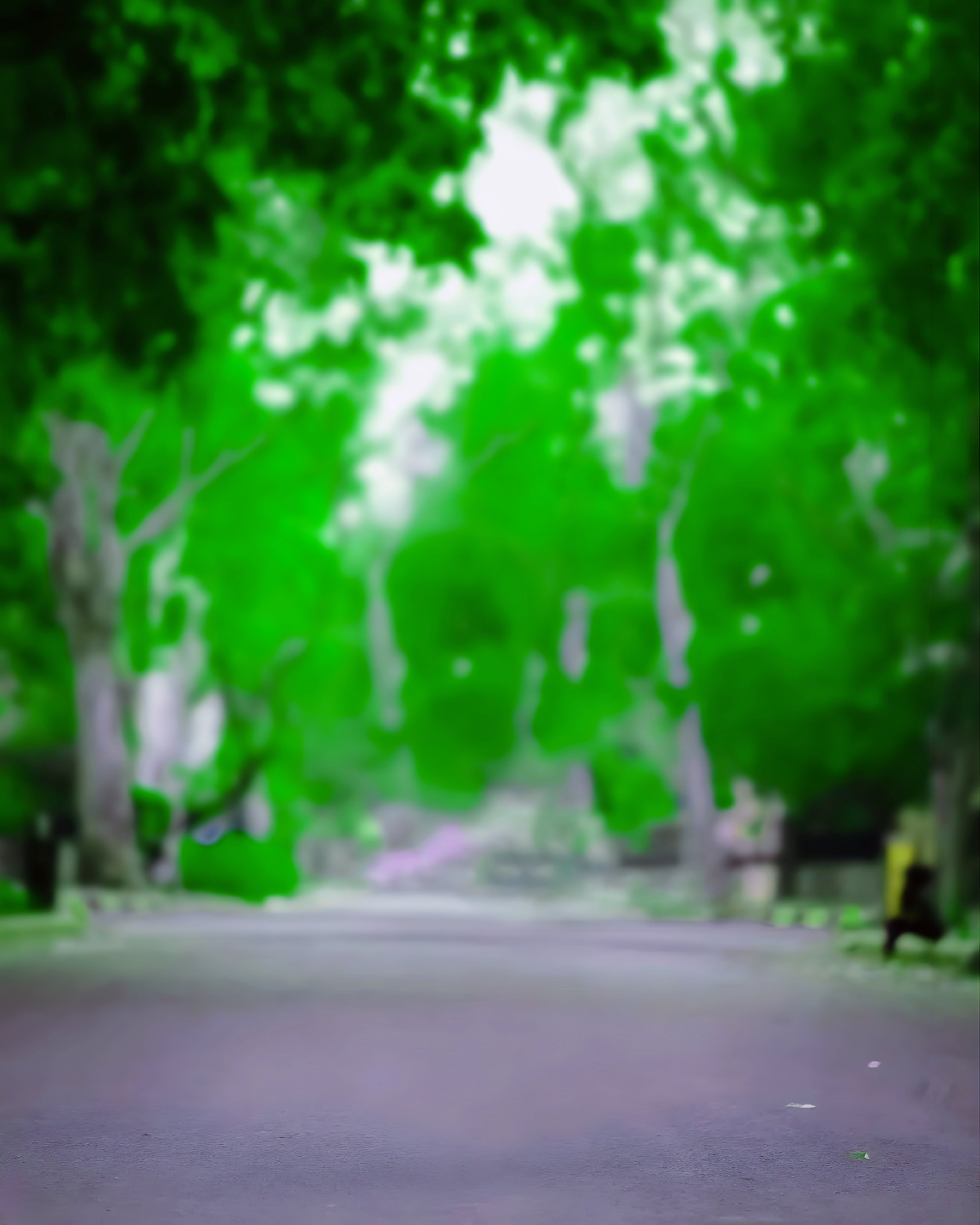Road with tree background for editing download 2023 Free!!
