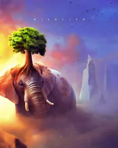 elephant picsart editing background download