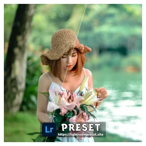 Read more about the article lightroom preset download link