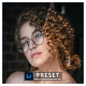 Read more about the article Presets for lightroom mobile download in dng