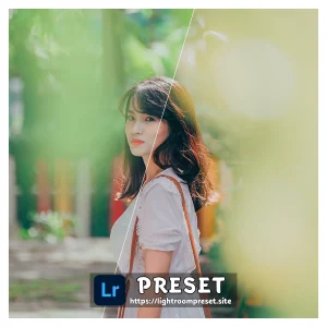 Read more about the article Airbnb lightroom presets download free in dng