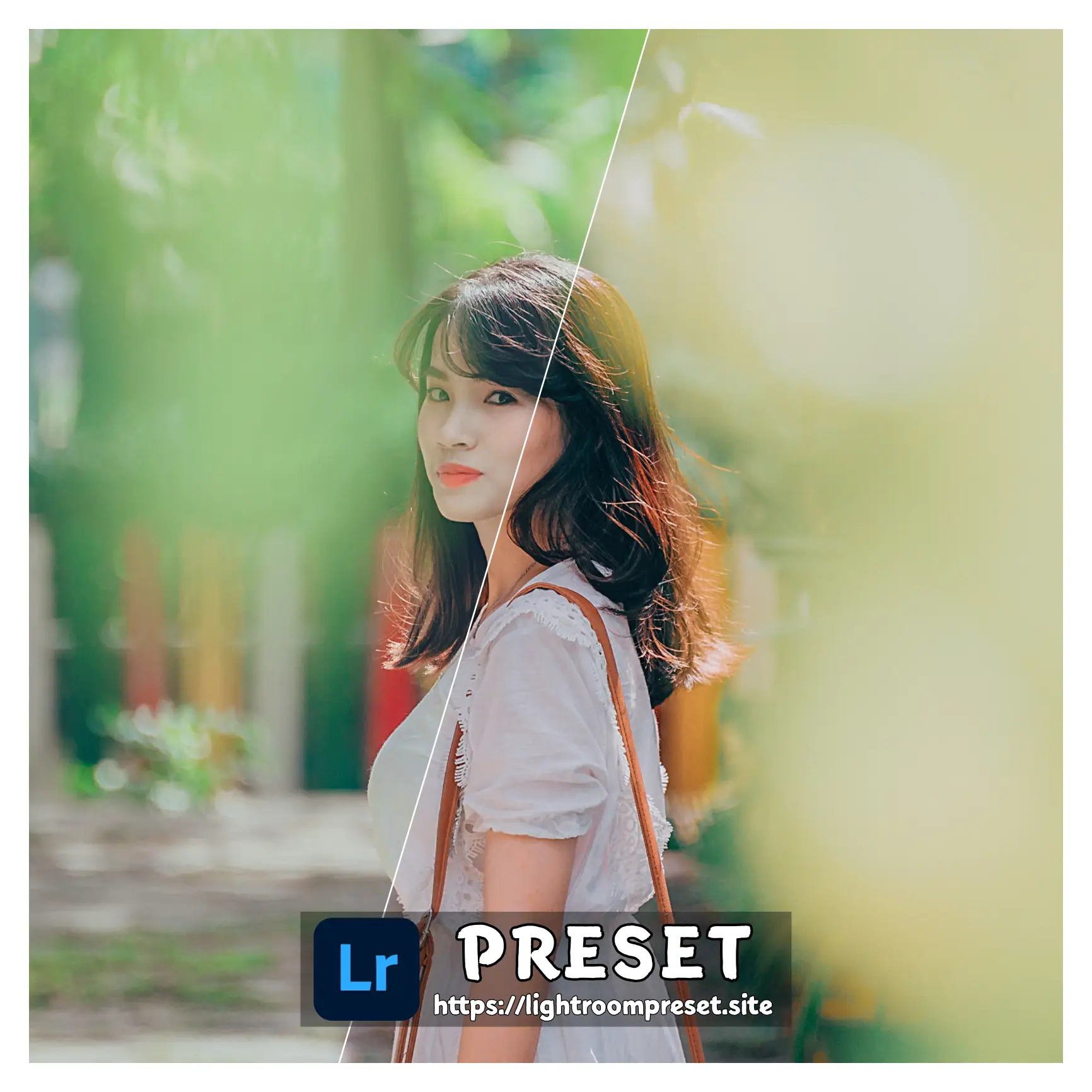 You are currently viewing Airbnb lightroom presets download free in dng