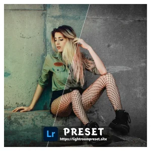 Read more about the article lightroom preset free download