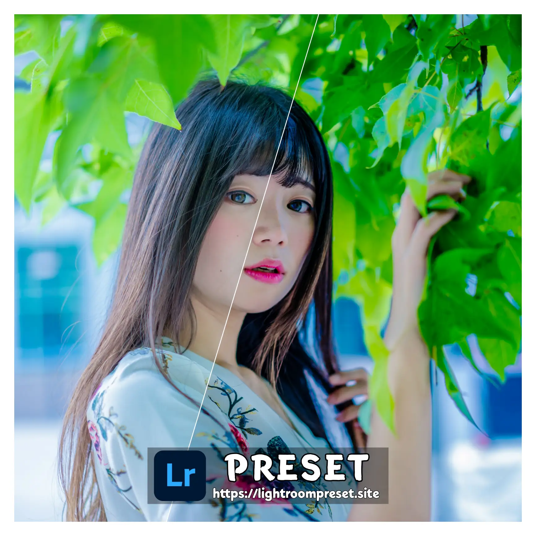You are currently viewing photo camera raw presets korean tone free download