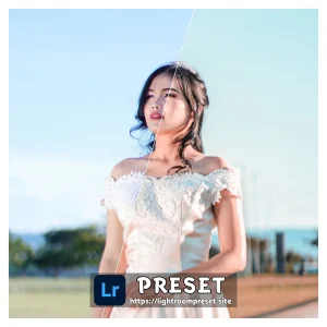 Read more about the article Free presets for lightroom mobile
