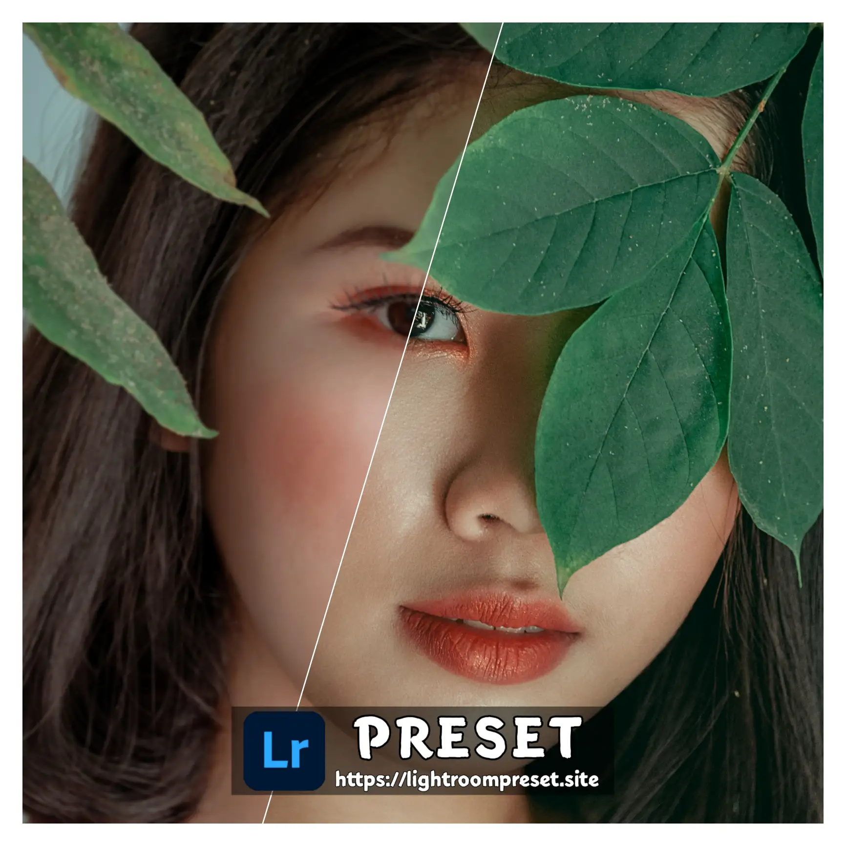 You are currently viewing Leica lightroom presets download free