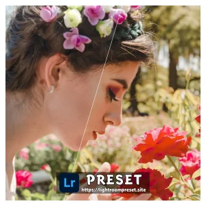 Read more about the article Best lightroom presets for concert photography
