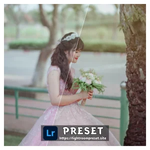 Read more about the article Lightroom presets for wedding photography download free