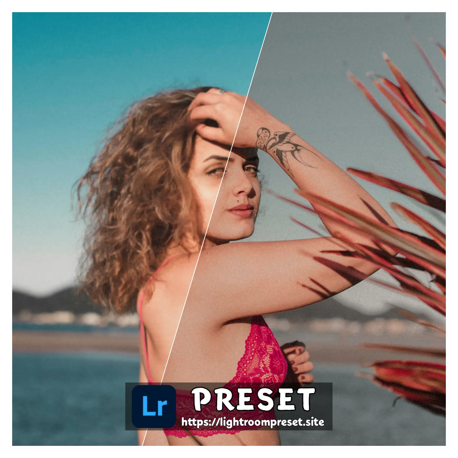 You are currently viewing Beach presets lightroom free download