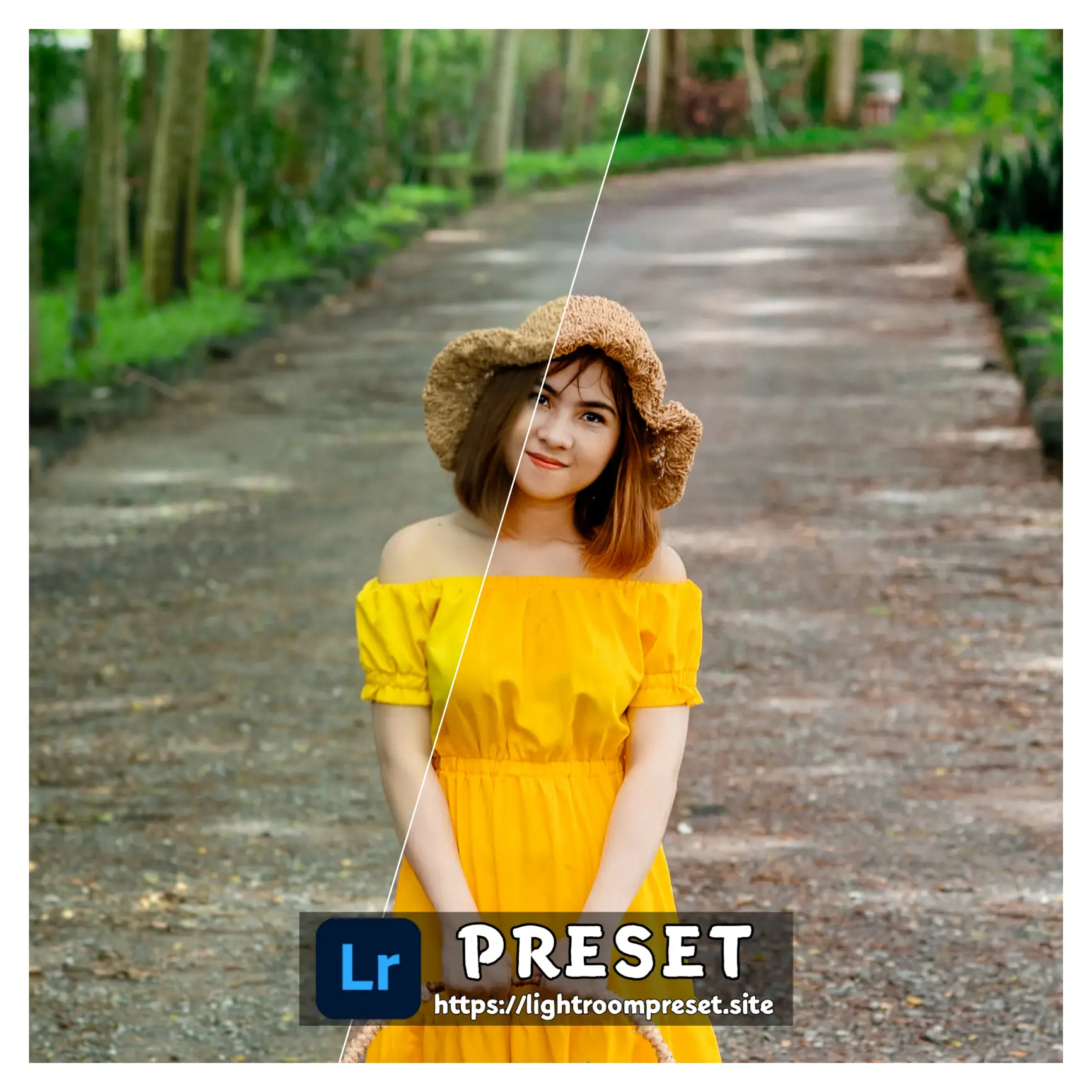 You are currently viewing Kubota lightroom presets download free