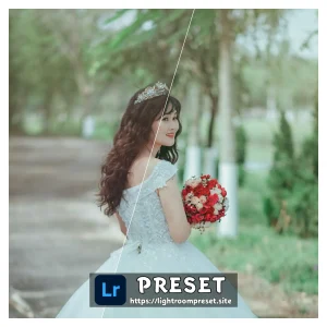 Read more about the article Wedding lightroom presets free download