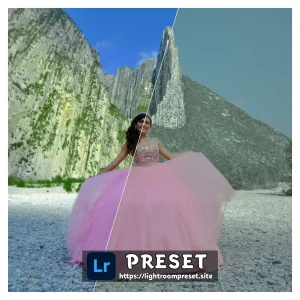 Read more about the article Earthy lightroom presets free download