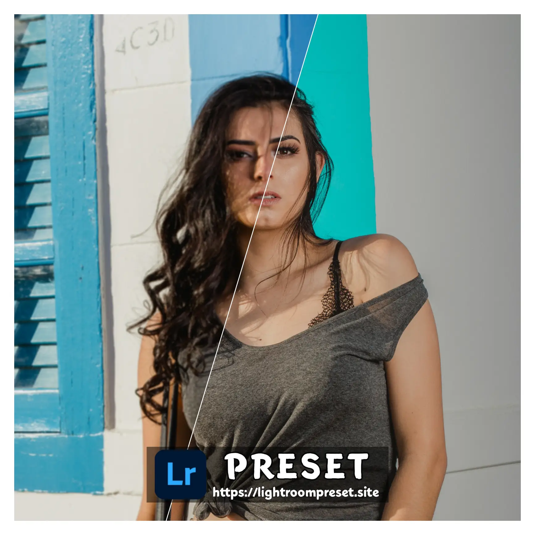 You are currently viewing Classic chrome lightroom preset download free