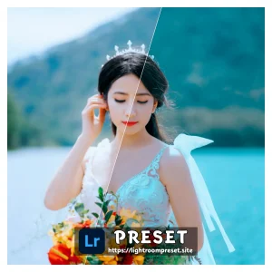 Read more about the article lightroom presets wedding free download