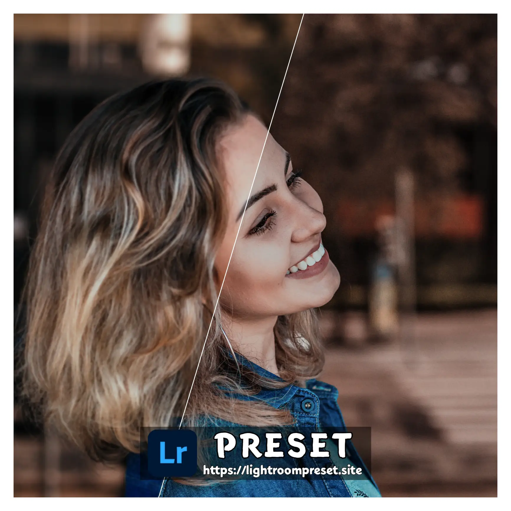 You are currently viewing Brown lightroom presets download free