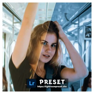 Read more about the article annie leibovitz lightroom preset download free