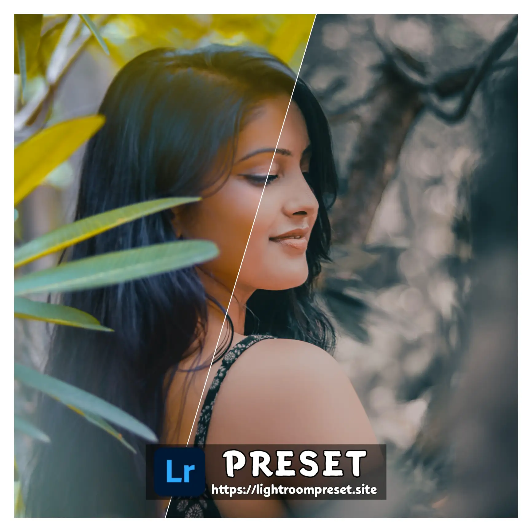 You are currently viewing Free dark and moody lightroom presets download