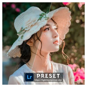 Read more about the article Creamy lightroom presets download free