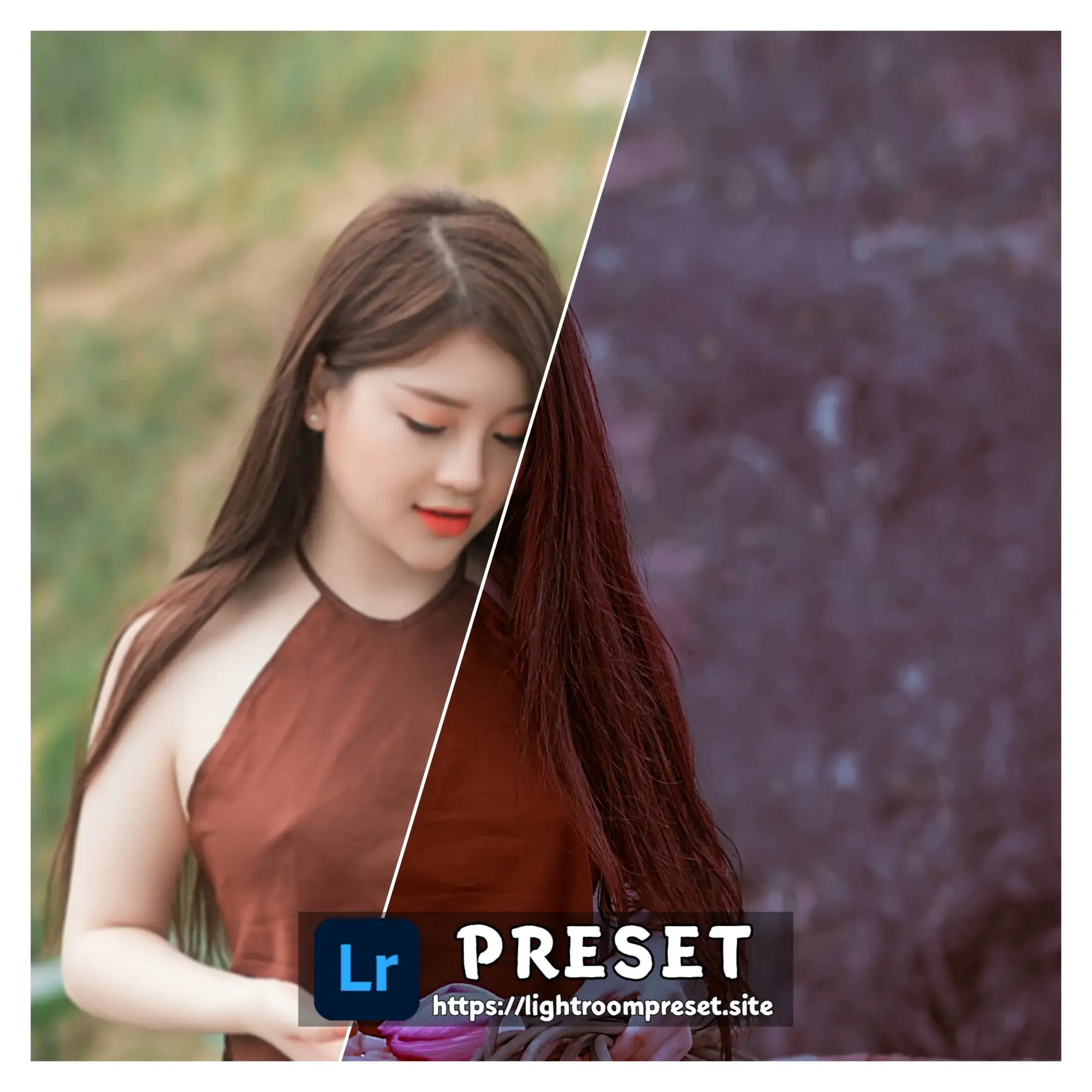 You are currently viewing halloween lightroom preset free download