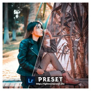 Read more about the article vsco lightroom presets download free