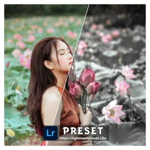 Read more about the article Best presets for lightroom mobile download free