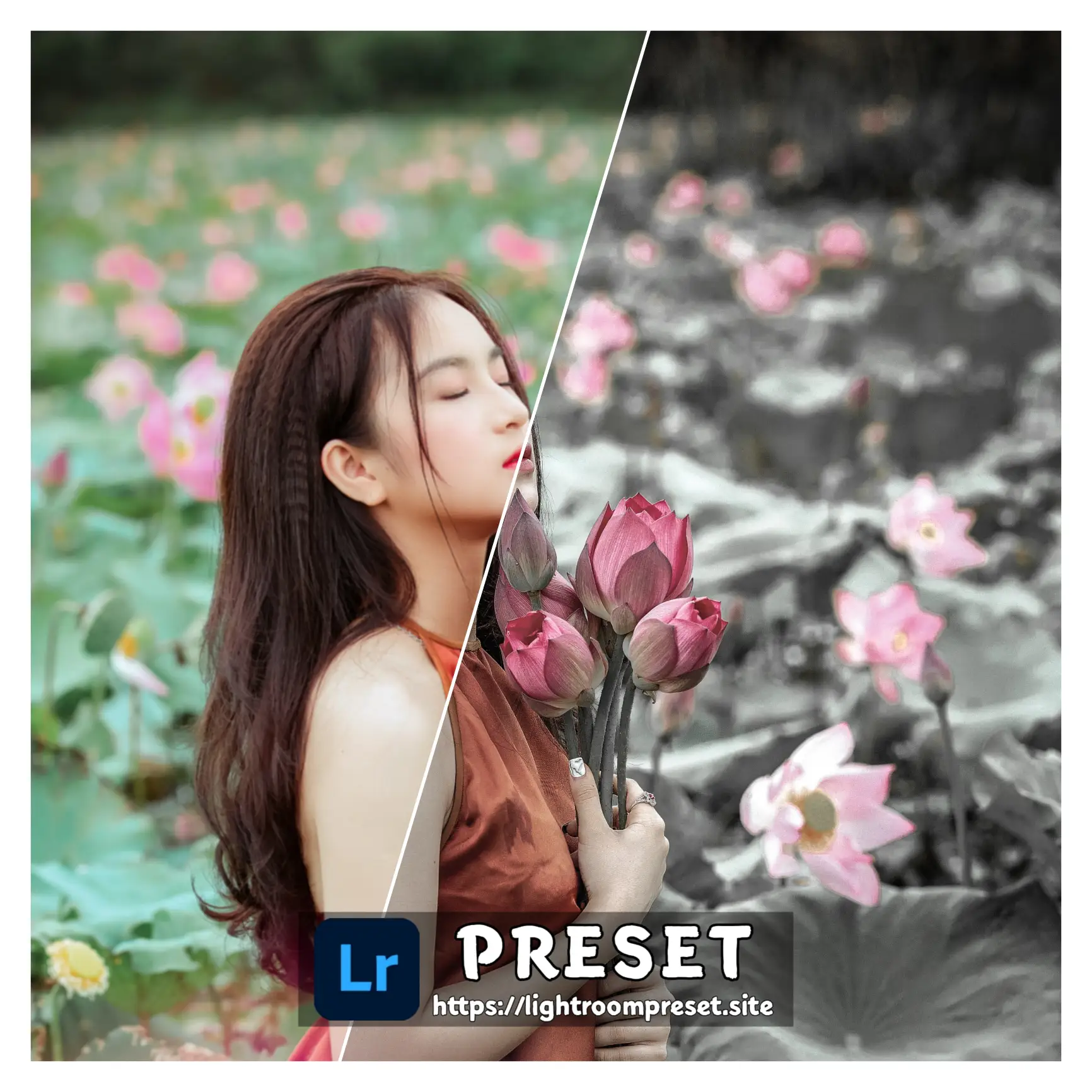 You are currently viewing Best presets for lightroom mobile download free