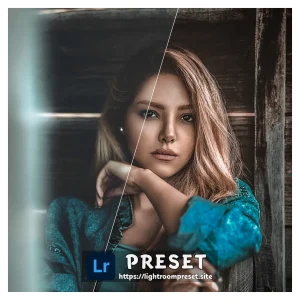 Adobe lightroom presets free download